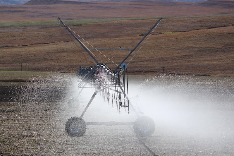 Drip Irrigation Setup