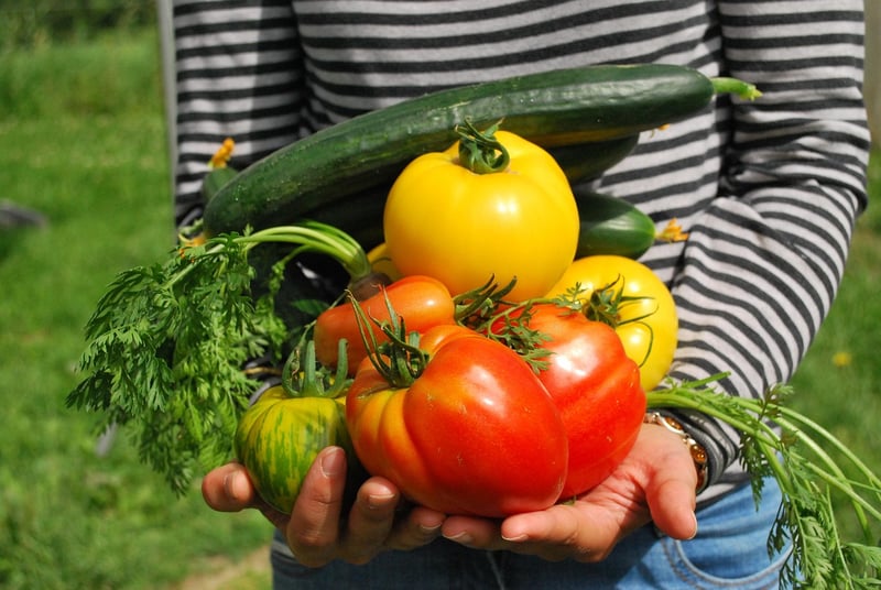 Rooftop Garden Maintenance